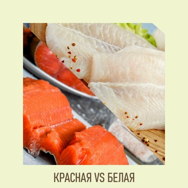 Какая рыба полезнее: красная или белая?