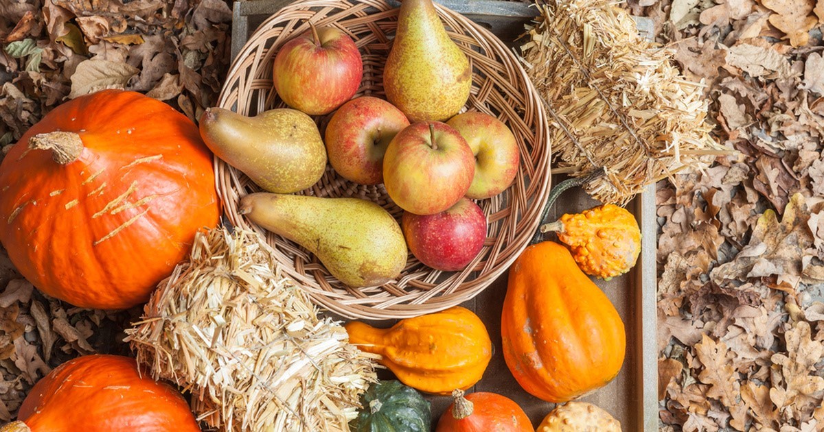 Какие продукты важно включить в рацион питания осенью для…